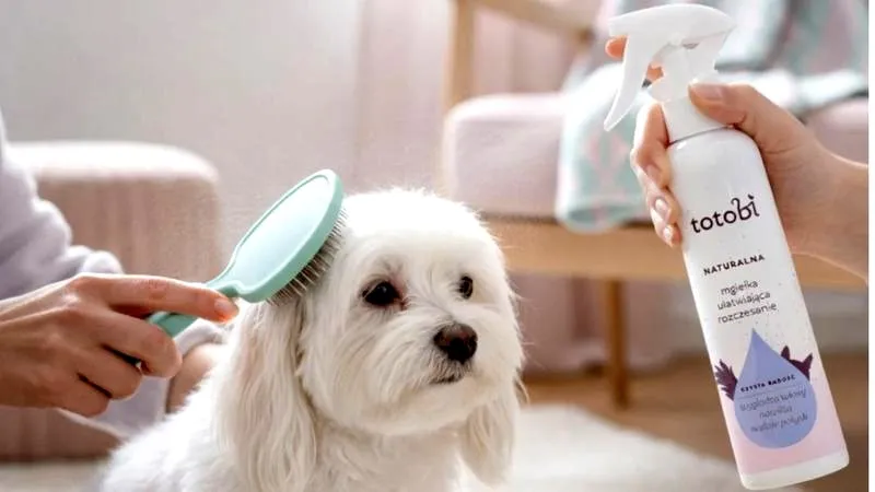 Jak skutecznie nauczyć psa nowego imienia w kilku prostych krokach