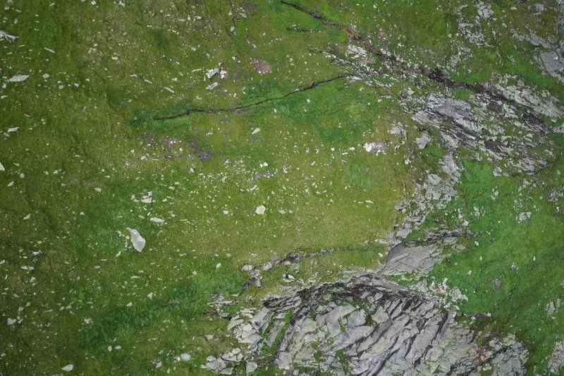 Sposoby na odnalezienie osoby, gdy znasz tylko imię