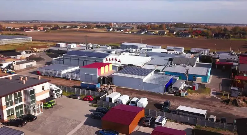 Elena w mitologii greckiej