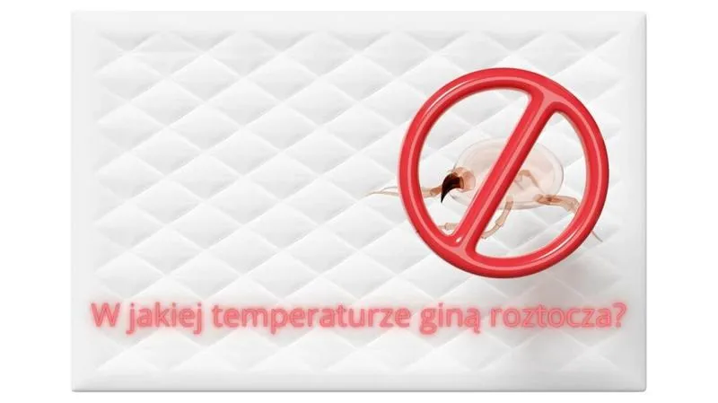 Media społecznościowe w poszukiwaniach