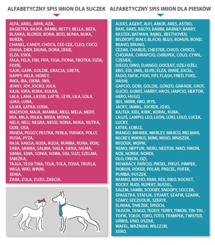 Trendy w imionach dla psów