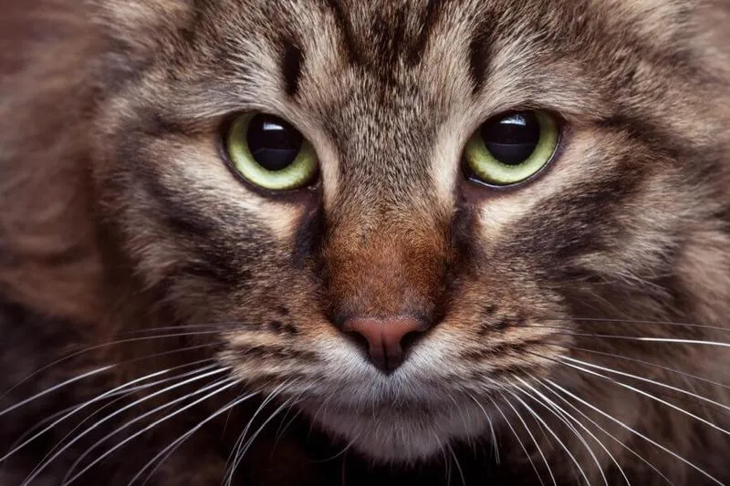 Zabawne i wulgarne imiona