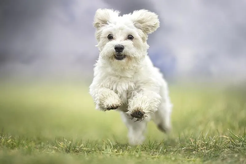 Znaczenie imion i osobowość
